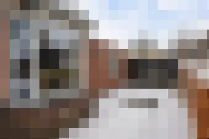 Schoolstraat 60 Vlagtwedde thumbnail 4