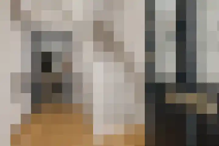 Schoolstraat 60 Vlagtwedde thumbnail 5
