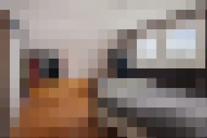 Schoolstraat 60 Vlagtwedde thumbnail 7