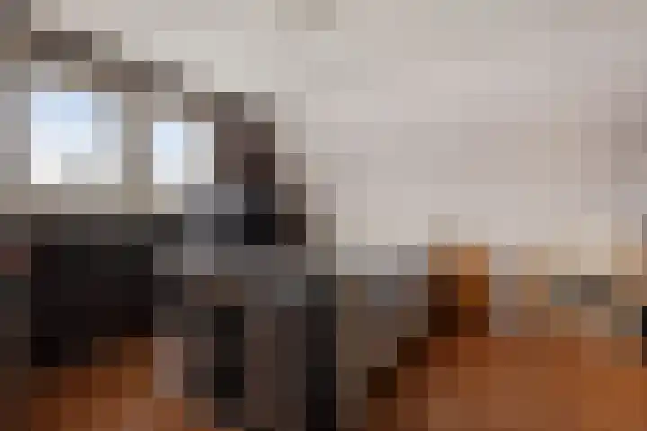 Schoolstraat 60 Vlagtwedde thumbnail 8