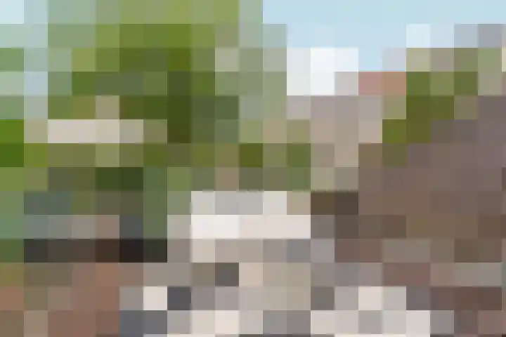 Schoolstraat 61 Arnhem thumbnail 21