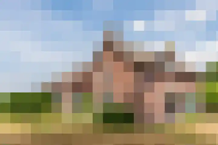 Schoolstraat 62 Molenschot thumbnail 7