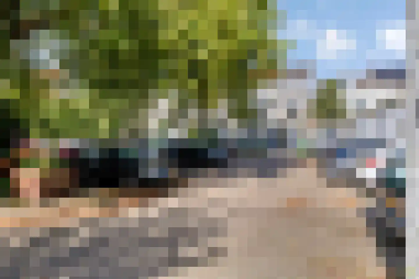 Schoolstraat 63 Arnhem thumbnail 19