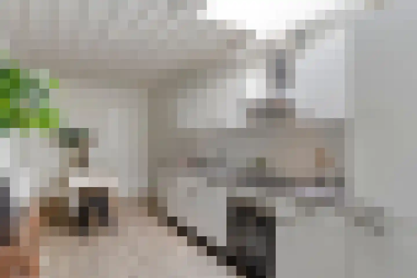 Schoolstraat 63 Arnhem thumbnail 9