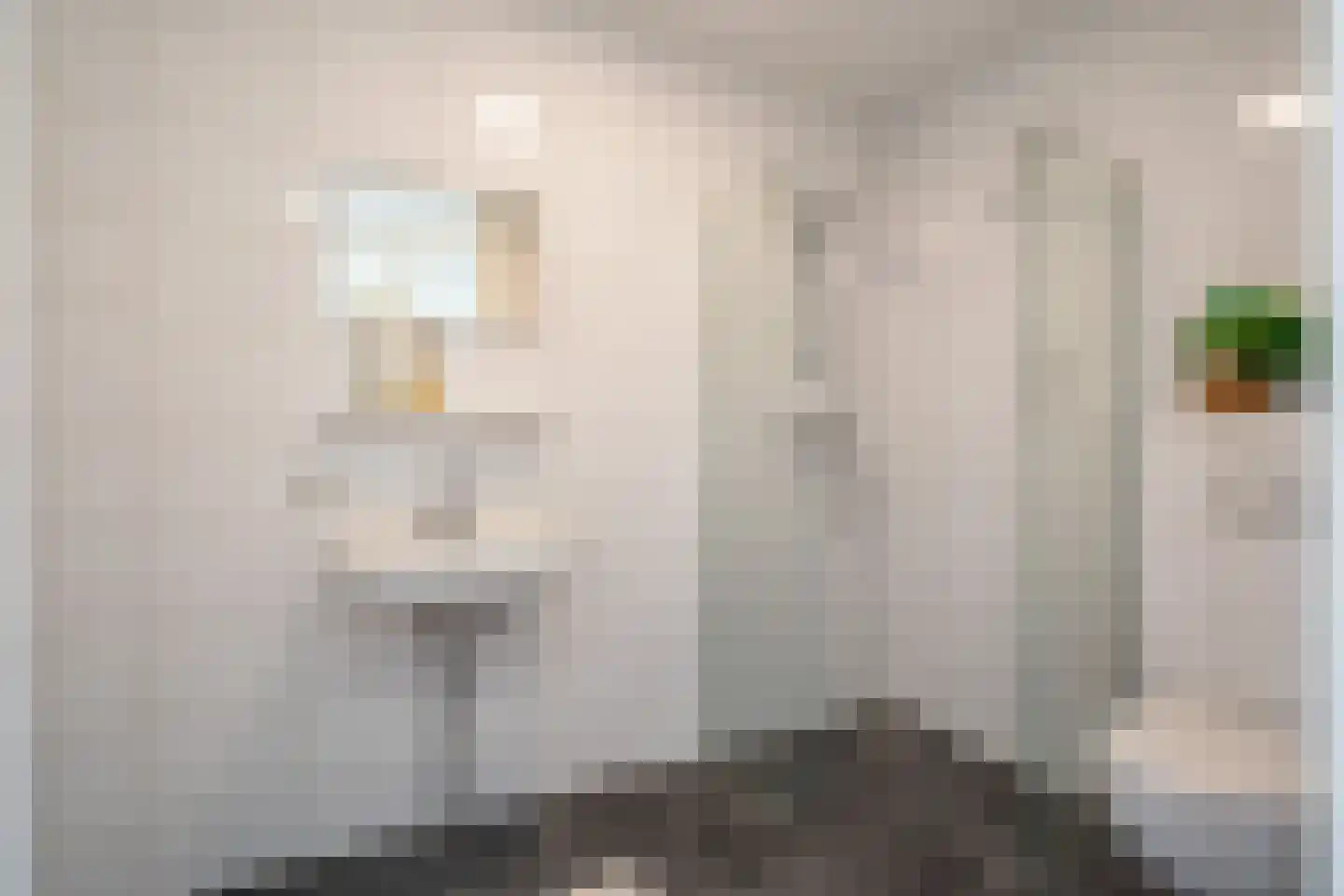 Schoolstraat 64 B Zwolle thumbnail 35