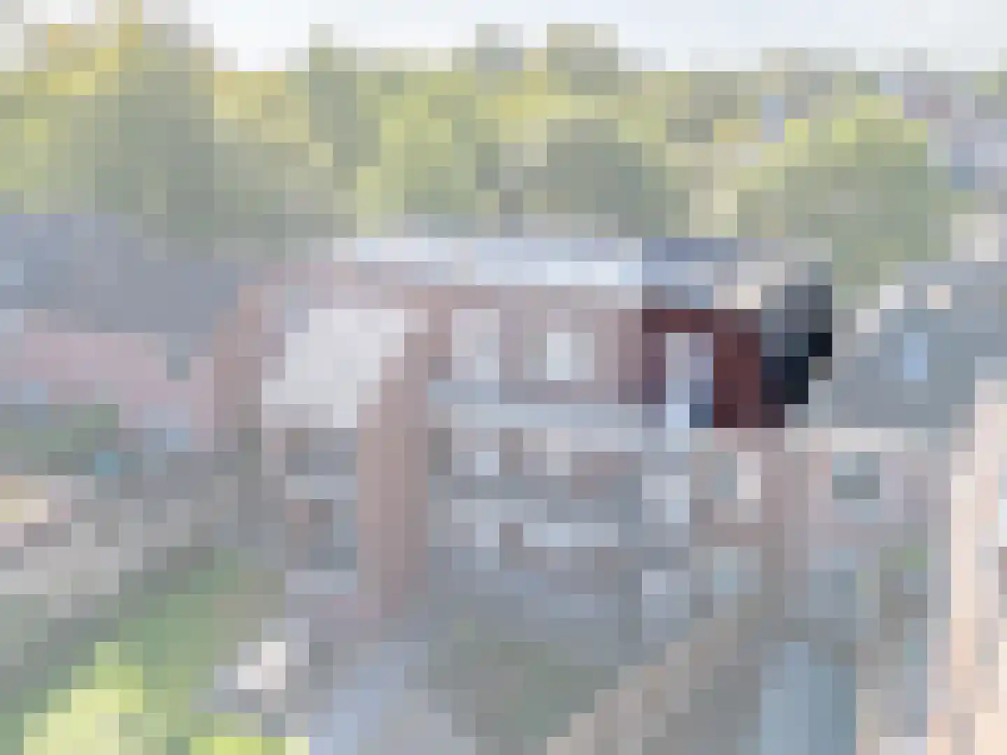 Schoolstraat 64 B Zwolle thumbnail 6