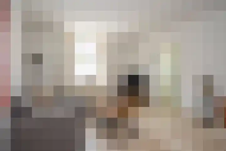 Schoolstraat 64 Maastricht thumbnail 9