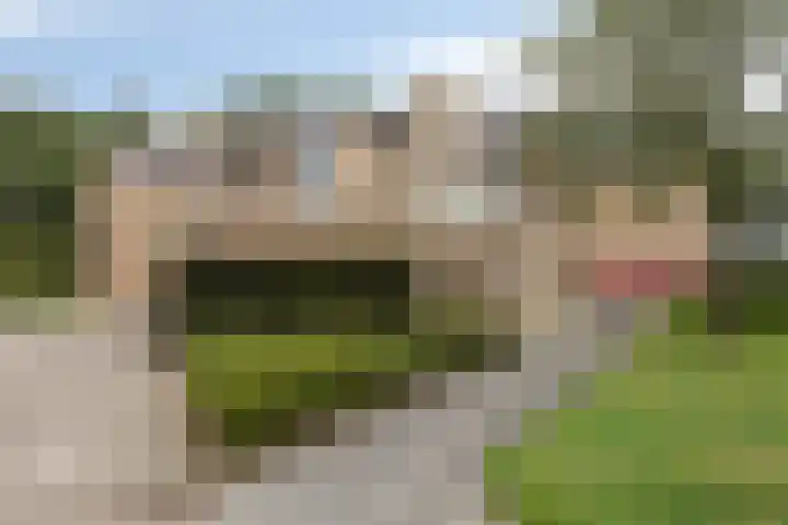 Schoolstraat 64 Zuidlaren thumbnail 31