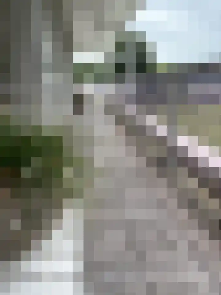 Schoolstraat 64 Zuidlaren thumbnail 34