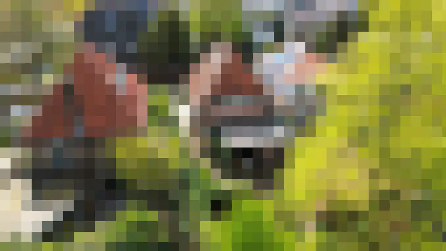 Schoolstraat 65 Baarn thumbnail 34