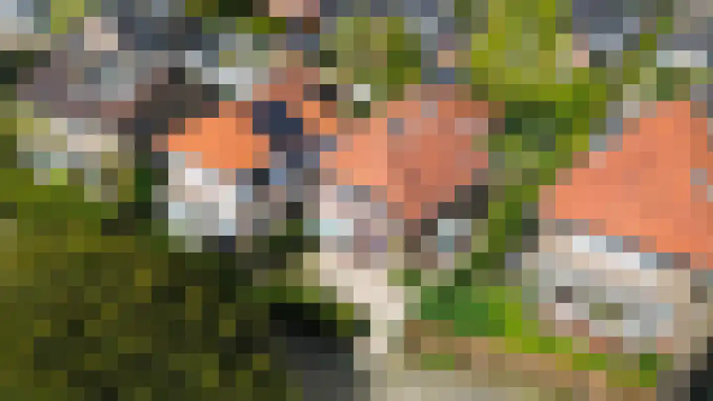 Schoolstraat 65 Baarn thumbnail 36