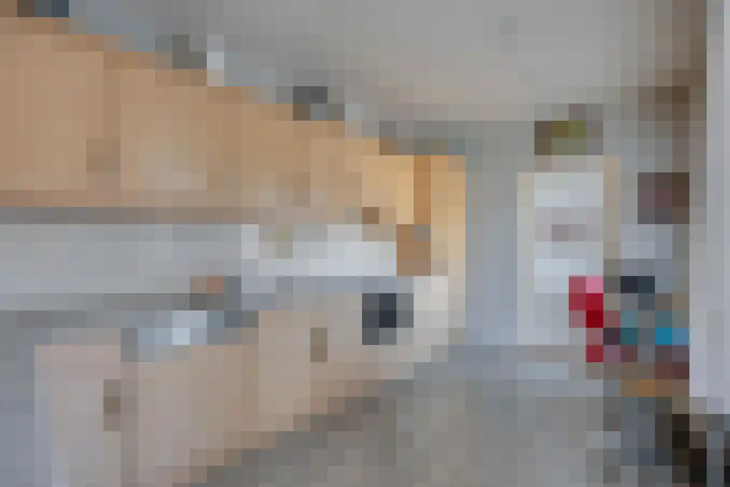 Schoolstraat 65 Beerta thumbnail 14