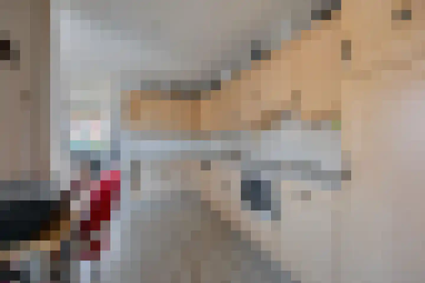 Schoolstraat 65 Beerta thumbnail 15