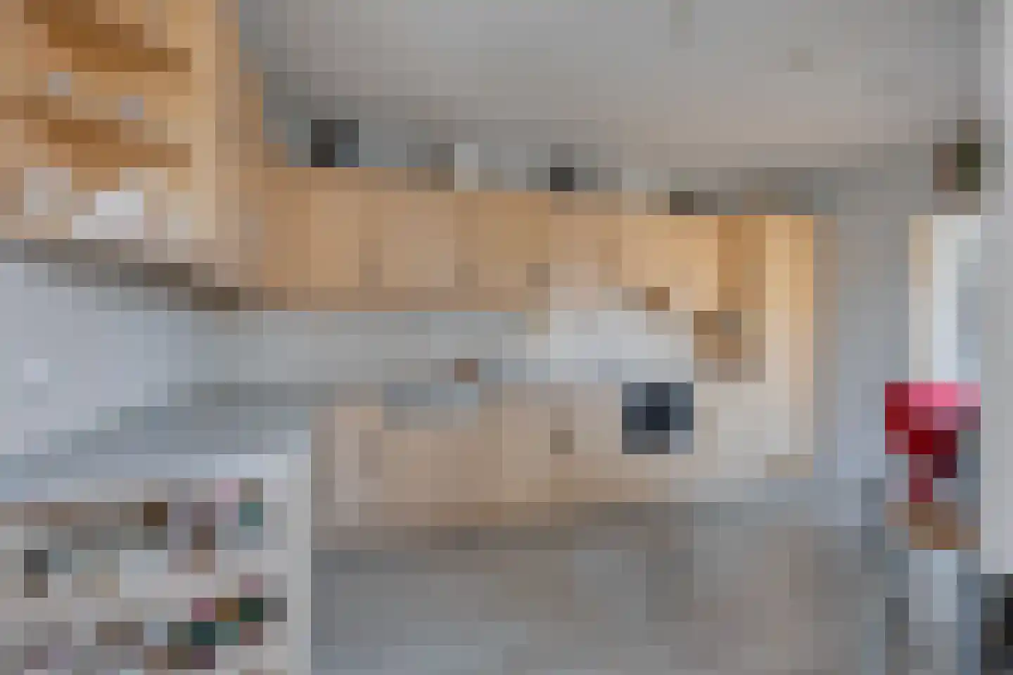 Schoolstraat 65 Beerta thumbnail 16