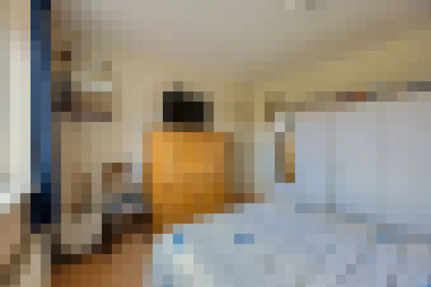 Schoolstraat 65 Beerta thumbnail 22