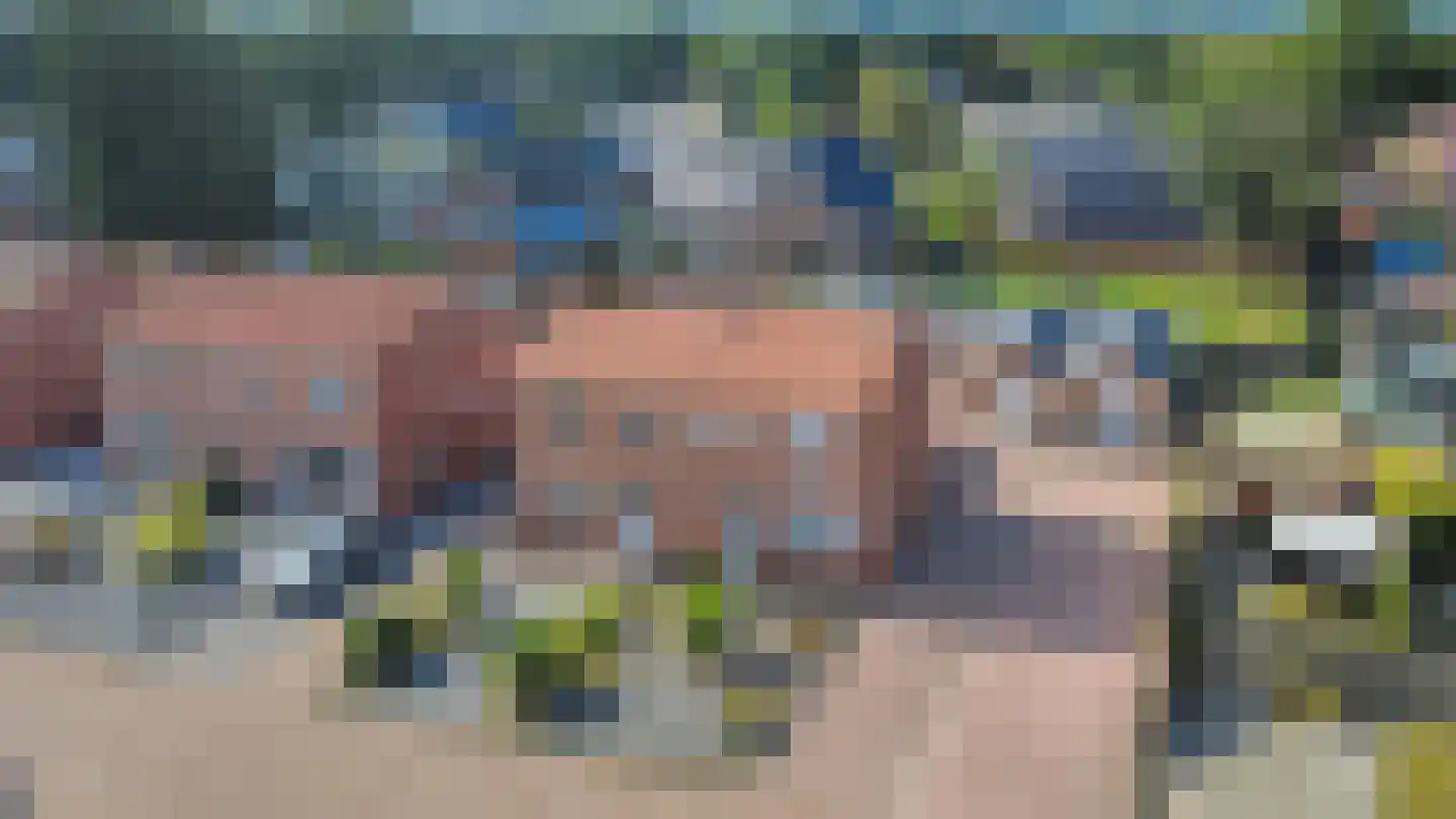 Schoolstraat 65 Beerta thumbnail 5