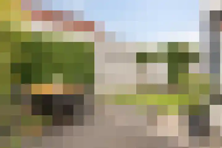 Schoolstraat 65 Nederweert thumbnail 32