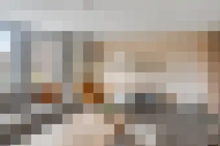 Schoolstraat 65 Nederweert thumbnail 8