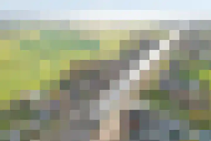 Schoolstraat 67 dans Geerdijk