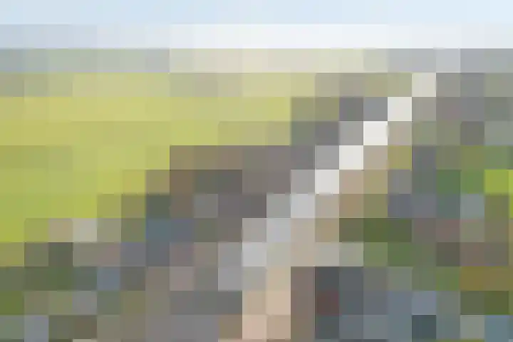 Schoolstraat 67 Geerdijk thumbnail 7