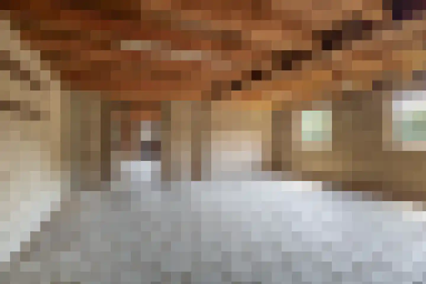 Schoolstraat 68 Belfeld thumbnail 24