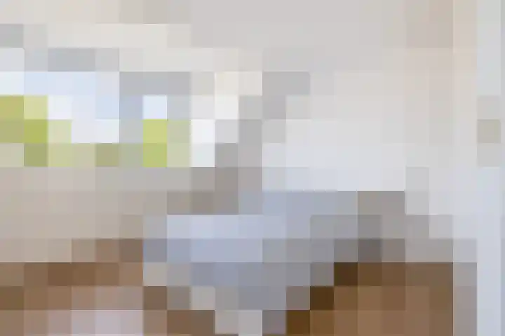 Schoolstraat 68 Den Bommel thumbnail 14