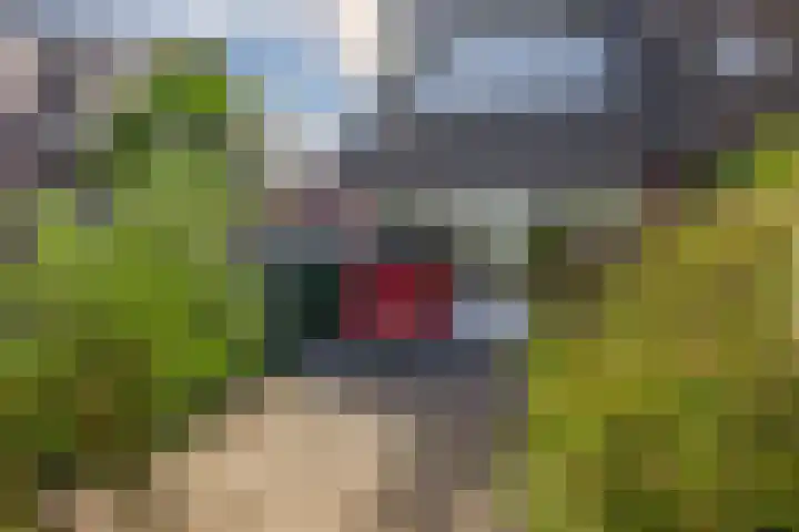 Schoolstraat 68 Den Bommel thumbnail 27