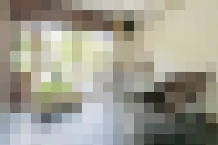 Schoolstraat 68 Oude-Tonge thumbnail 10
