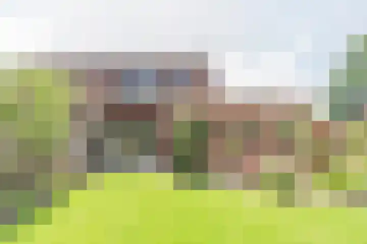 Schoolstraat 68 Oude-Tonge thumbnail 26