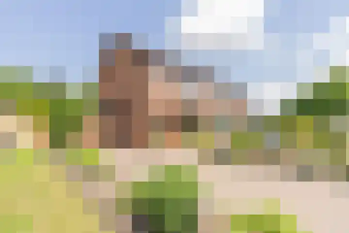 Schoolstraat 68 Oude-Tonge thumbnail 30