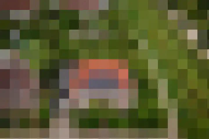 Schoolstraat 69 Luttelgeest thumbnail 4