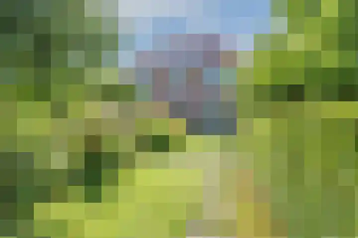Schoolstraat 69 Luttelgeest thumbnail 41