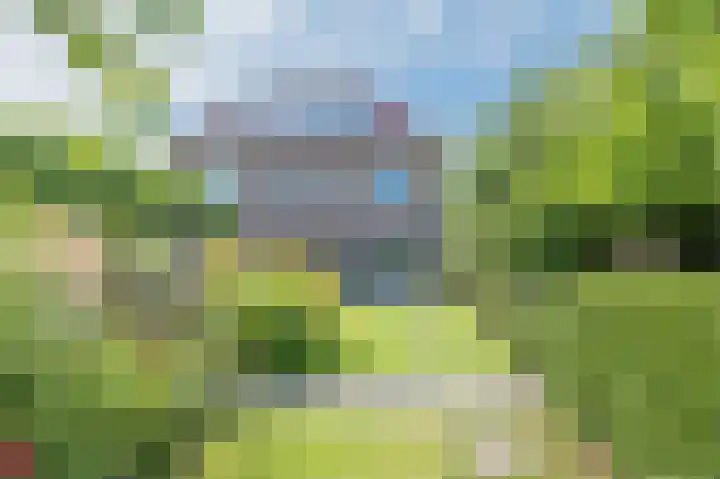 Schoolstraat 69 Luttelgeest thumbnail 42