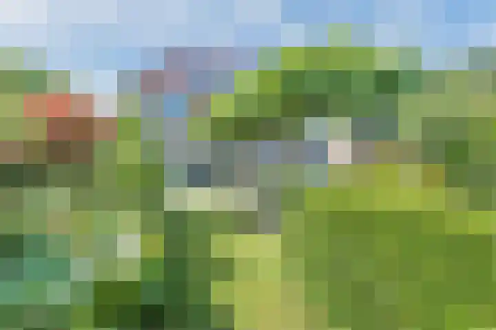 Schoolstraat 69 Luttelgeest thumbnail 43