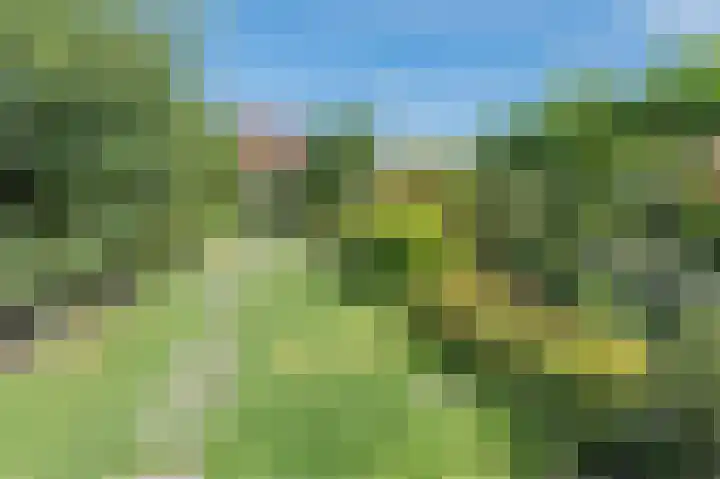 Schoolstraat 69 Luttelgeest thumbnail 47