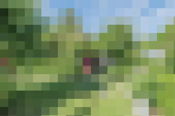 Schoolstraat 69 Luttelgeest thumbnail 49