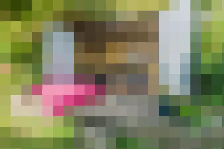 Schoolstraat 69 Luttelgeest thumbnail 50