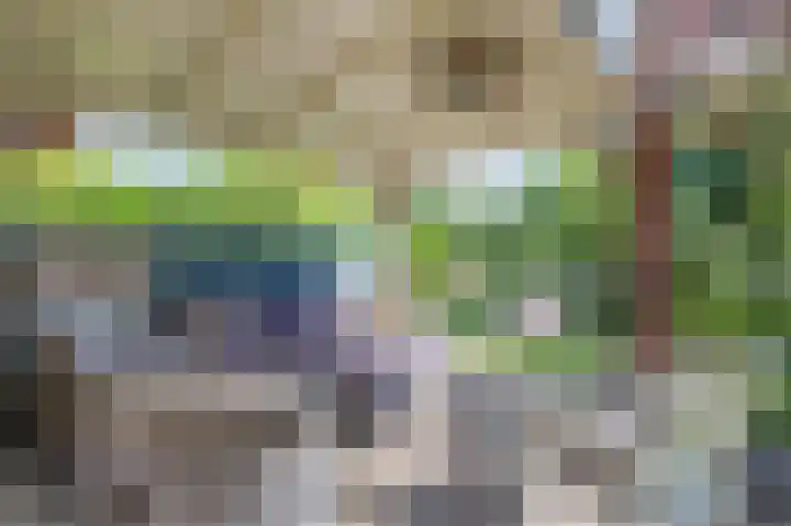 Schoolstraat 69 Luttelgeest thumbnail 52