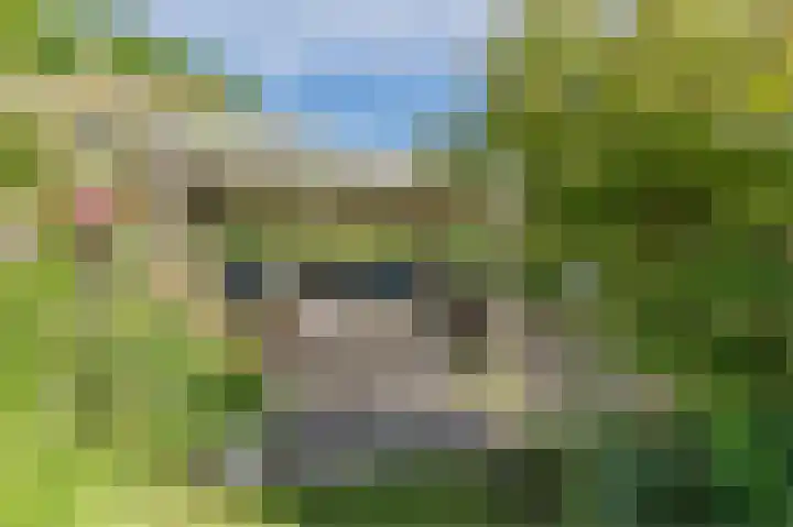 Schoolstraat 69 Luttelgeest thumbnail 53