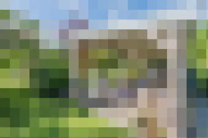 Schoolstraat 69 Luttelgeest thumbnail 54