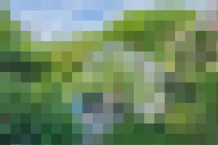 Schoolstraat 69 Luttelgeest thumbnail 55