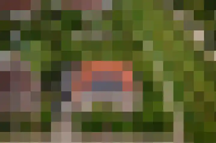 Schoolstraat 69 Luttelgeest thumbnail 57