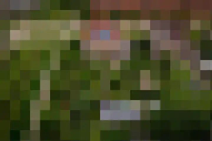 Schoolstraat 69 Luttelgeest thumbnail 59