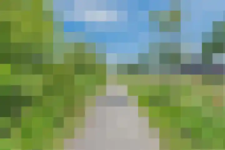 Schoolstraat 69 Luttelgeest thumbnail 60