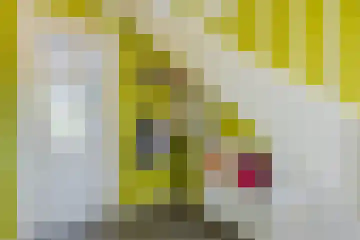 Schoolstraat 69 Luttelgeest thumbnail 8