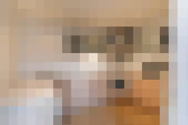 Schoolstraat 7 a Halsteren thumbnail 11
