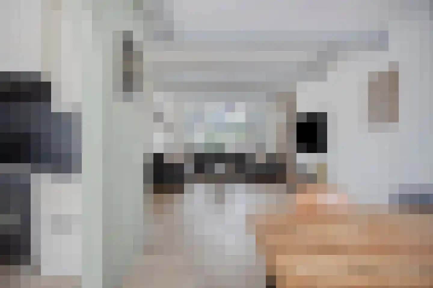 Schoolstraat 7 Abbenbroek thumbnail 17