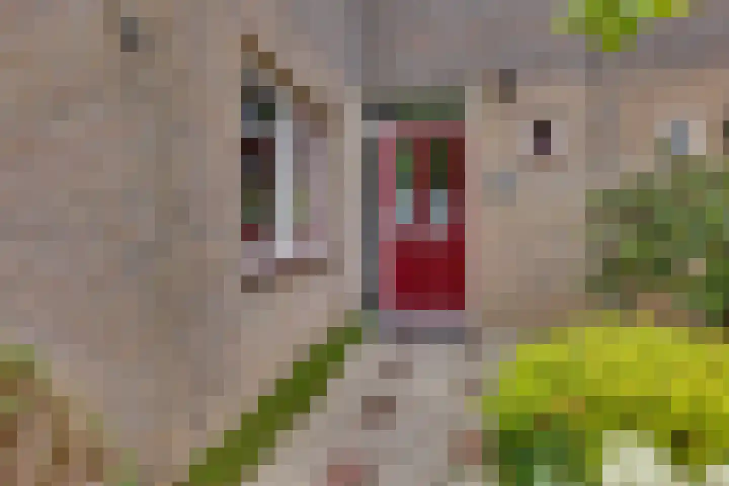 Schoolstraat 7 Luttelgeest thumbnail 11
