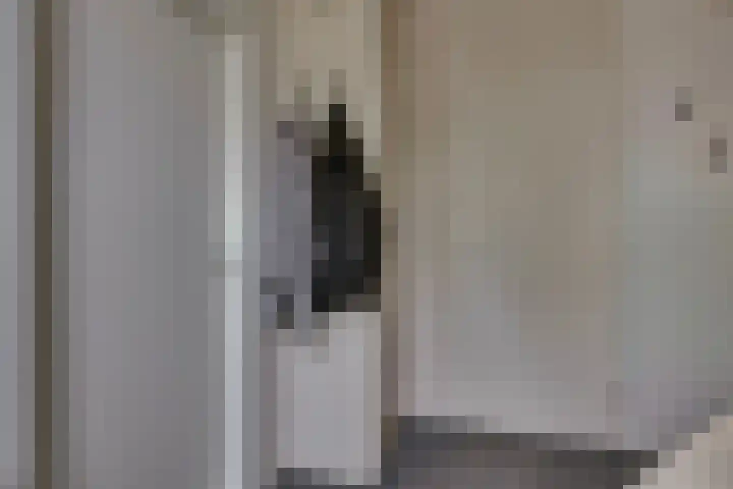 Schoolstraat 7 Luttelgeest thumbnail 13