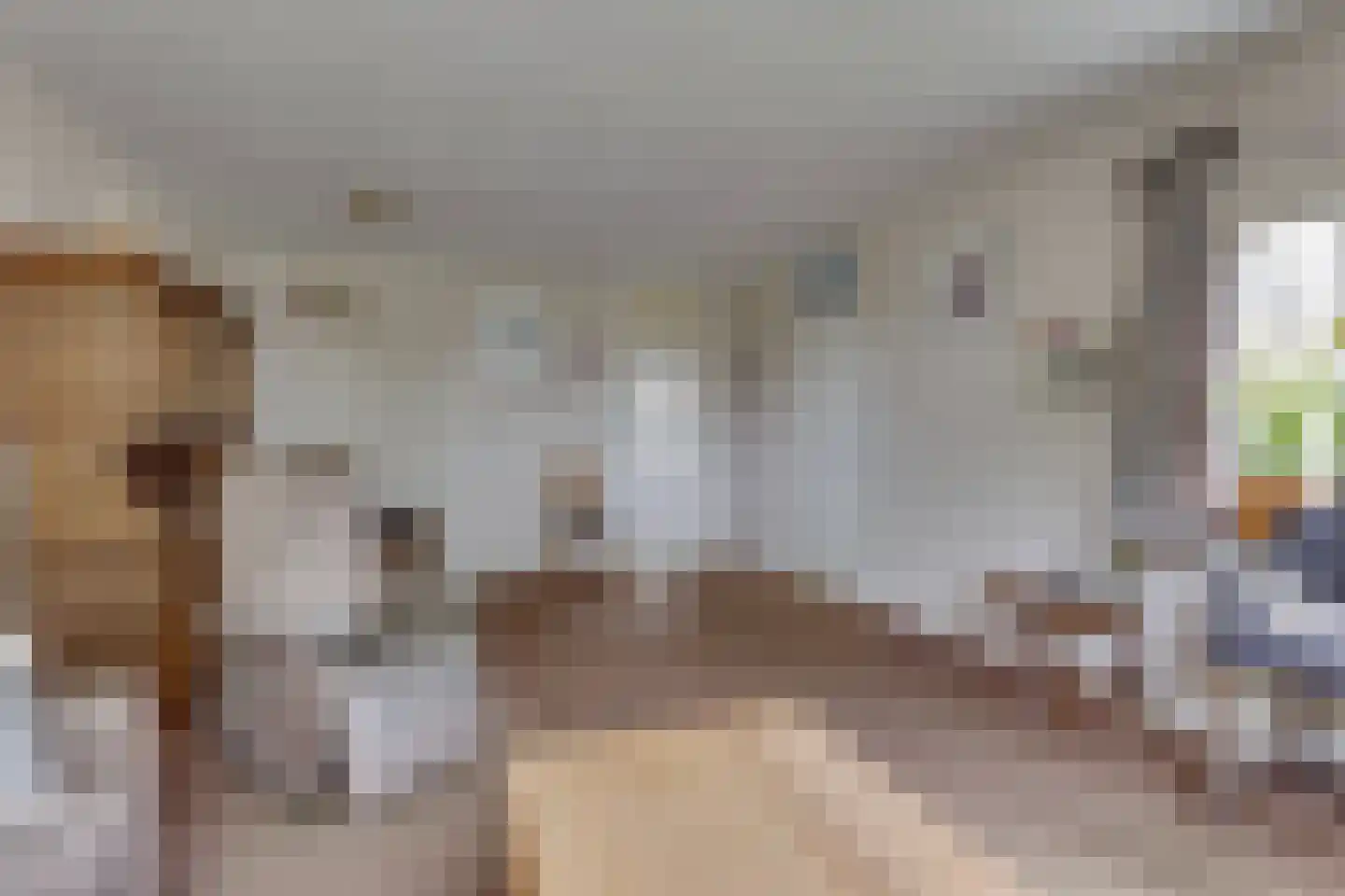 Schoolstraat 7 Luttelgeest thumbnail 15